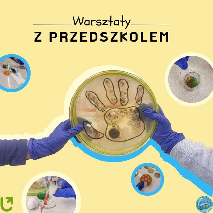 Zdjęcie zatytułowane "Warsztaty z przedszkolem". Przedstawia płytkę agarową z hodowlą mikroorganizmów w kształcie ludzkiej dłoni. Płytkę trzymają dwie ręce. W widać cztery zdjęcia, które przedstawiają różne fazy eksperymentu.